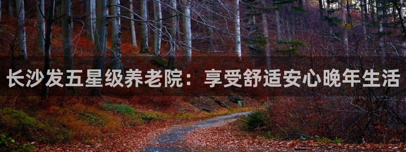 韦德官网注册推荐网站