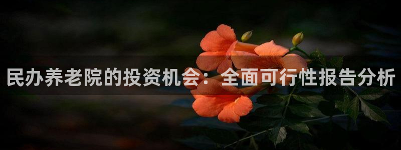 韦德注册手机版