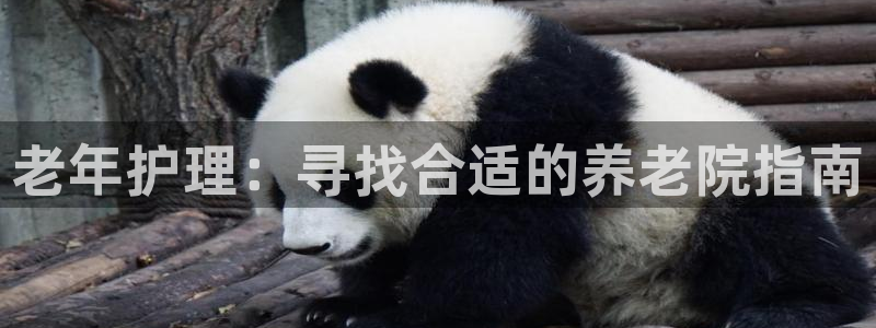 韦德游戏注册要用驾驶证嘛