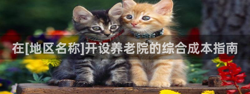 韦德1946官网最新版