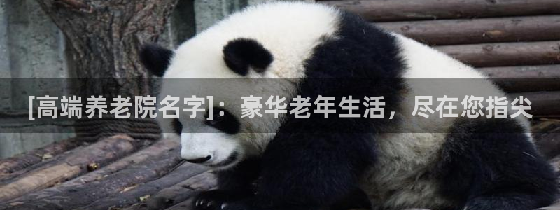 韦德游戏注册要用驾驶证嘛