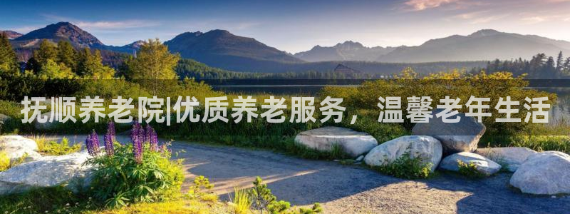 韦德注册手机版下载