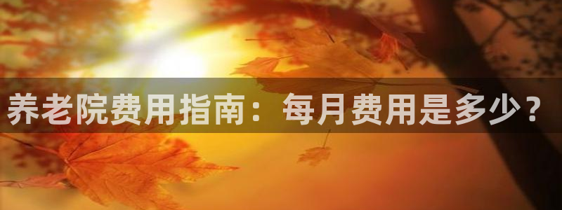 韦德bietview官网