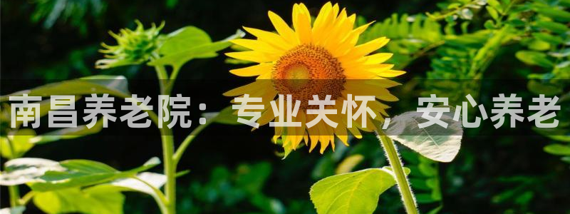 韦德1946官方网站