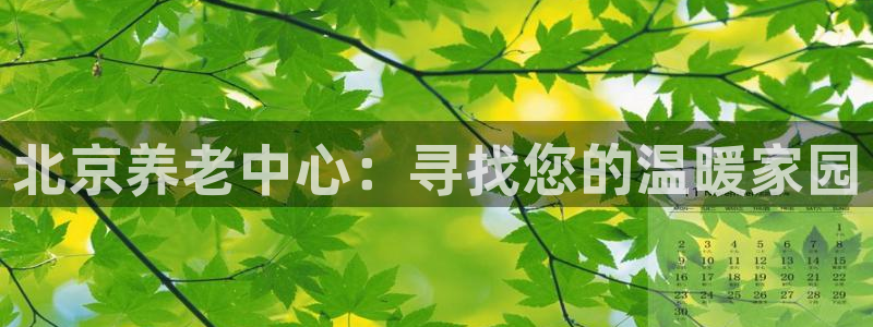 韦德游戏注册要用驾驶证嘛