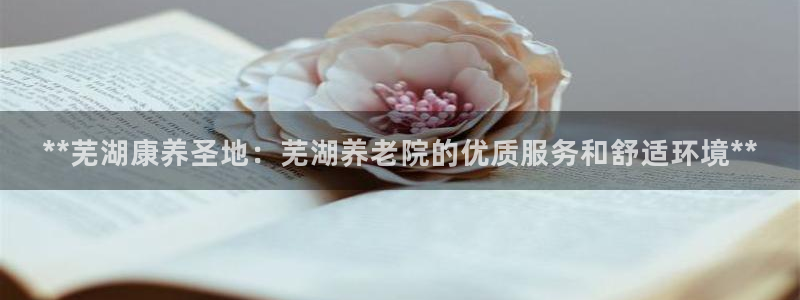 韦德游戏注册需要什么