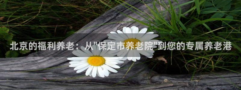 韦德官方网址大全