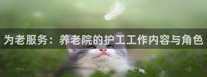 韦德网址是多少