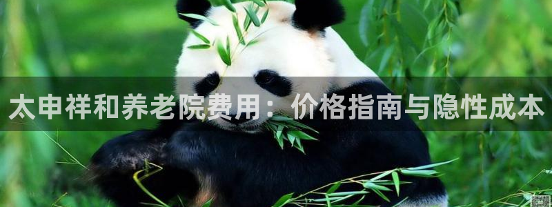 韦德1946最新网站