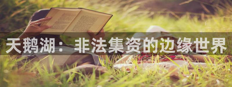 韦德1946始于英国