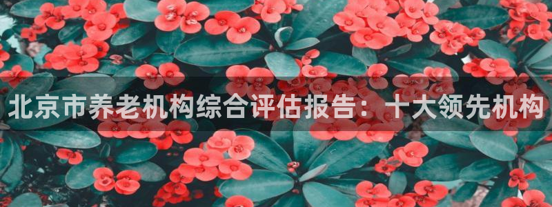 韦德注册手机版下载