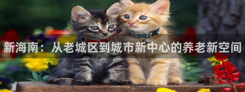 韦德游戏注册要用户口薄