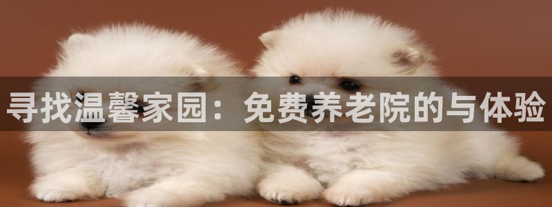 韦德官网注册推荐网站是什么